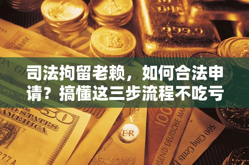 济南司法拘留老赖，如何合法申请？搞懂这三步流程不吃亏！