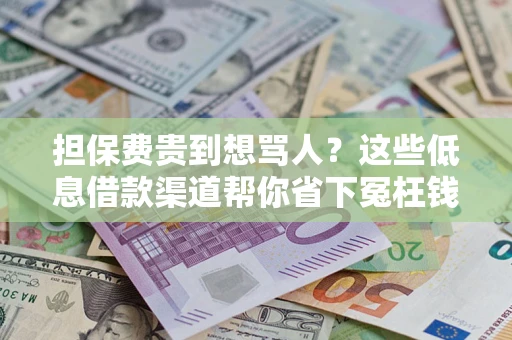 济南担保费贵到想骂人？这些低息借款渠道帮你省下冤枉钱