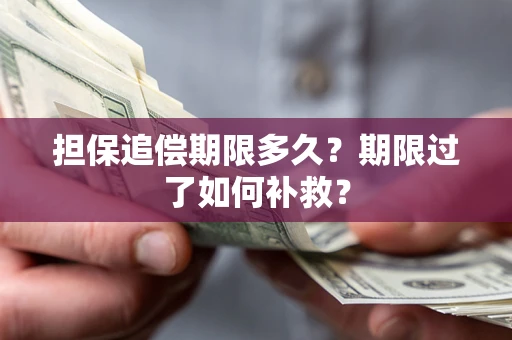 济南担保追偿期限多久？期限过了如何补救？