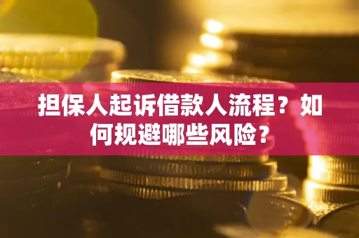 济南担保人起诉借款人流程？如何规避哪些风险？