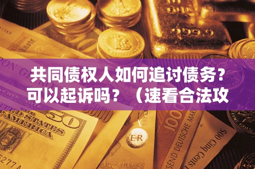 济南共同债权人如何追讨债务？可以起诉吗？（速看合法攻略）